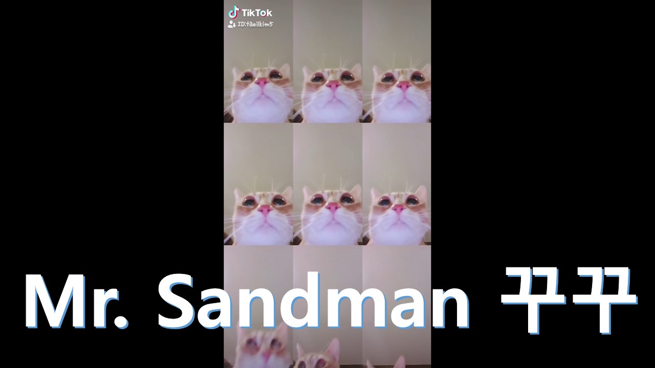 ba9c1b6a38463cc2891d40c29626043e.jpg : 고양이 Mr. sandman 보시고 맞구독,풀시청 받아가세요!!