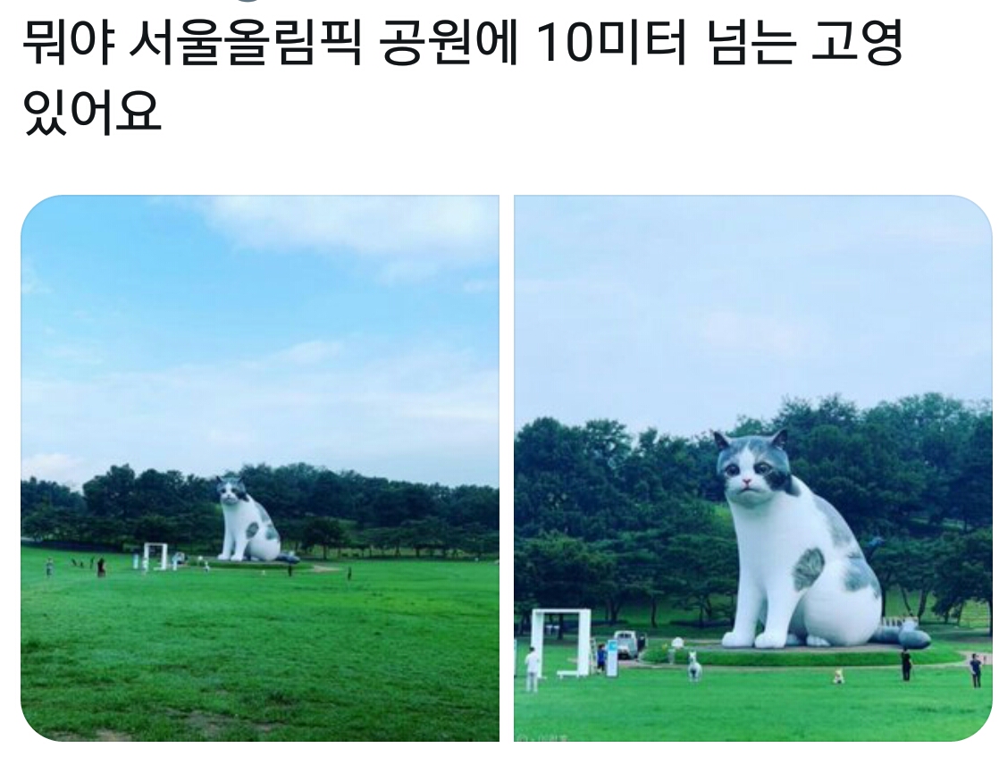 Screenshot_20190820-213537.jpg : 서울 올림픽 공원 10미터 고양이